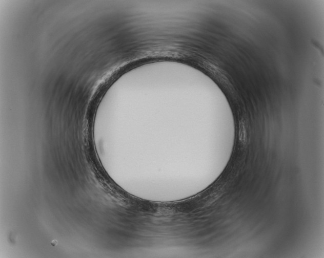 X0000102790388200809151130