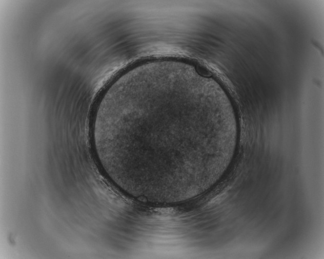 X0000102790391200809151130