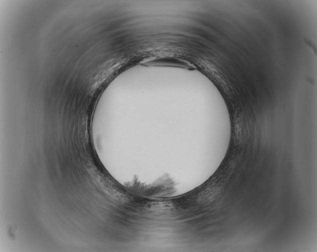 X0000102790398200809151129