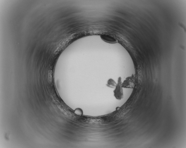 X0000102790401200809151129