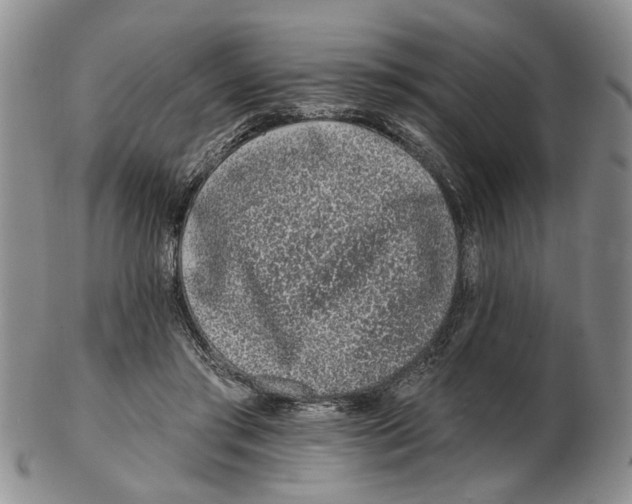 X0000102790405200809151129