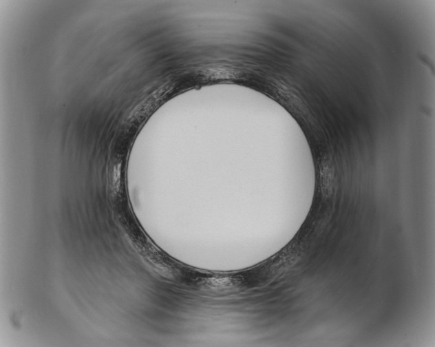 X0000102790406200809151129