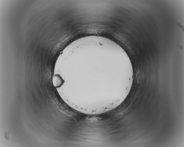 X0000102790407200809151129