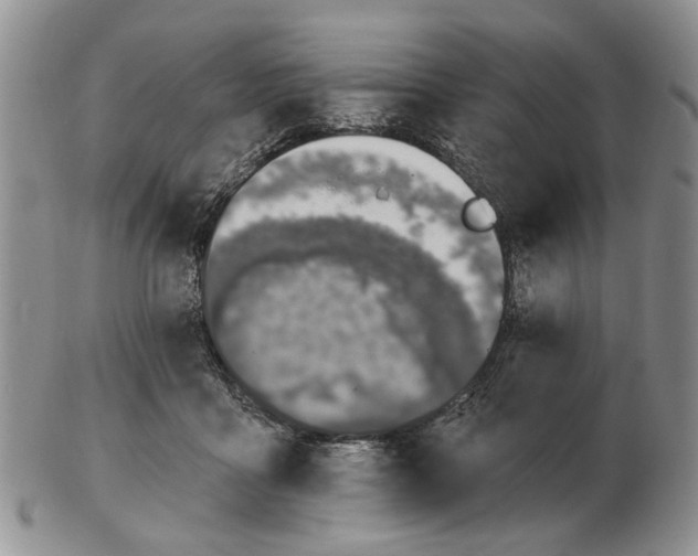 X0000102790411200809151129