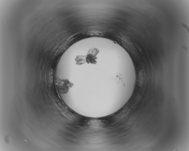 X0000102790413200809151129