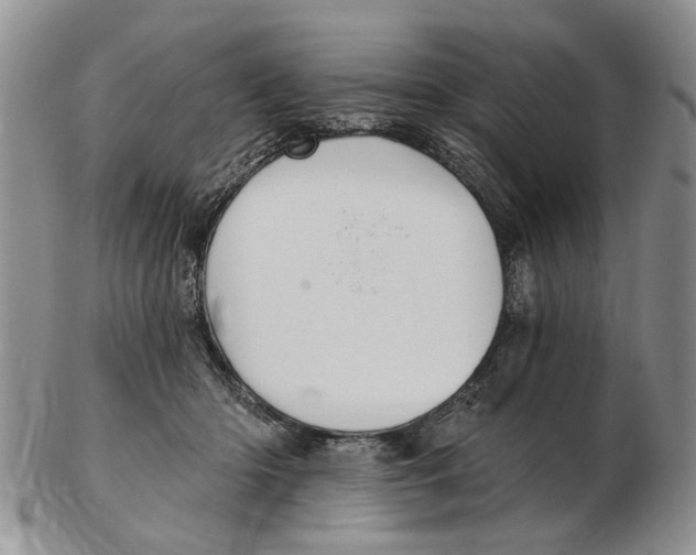 X0000102790414200809151129