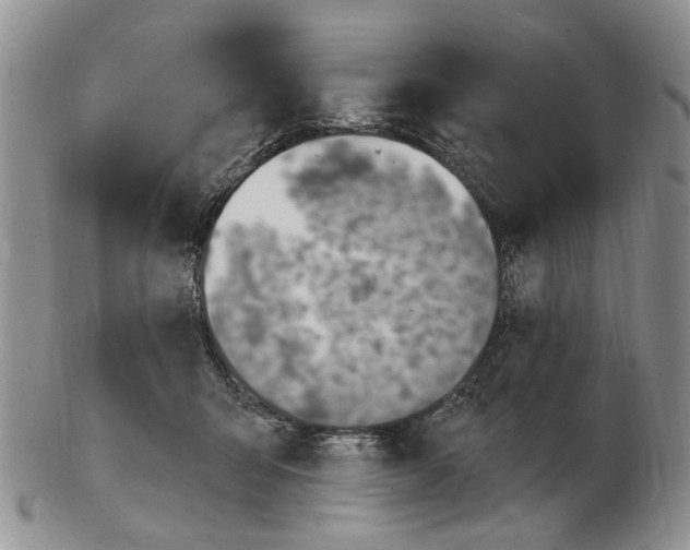 X0000102790415200809151129