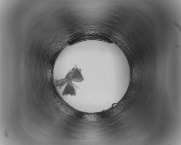 X0000102790417200809151129