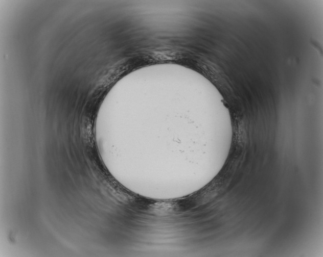 X0000102790418200809151129