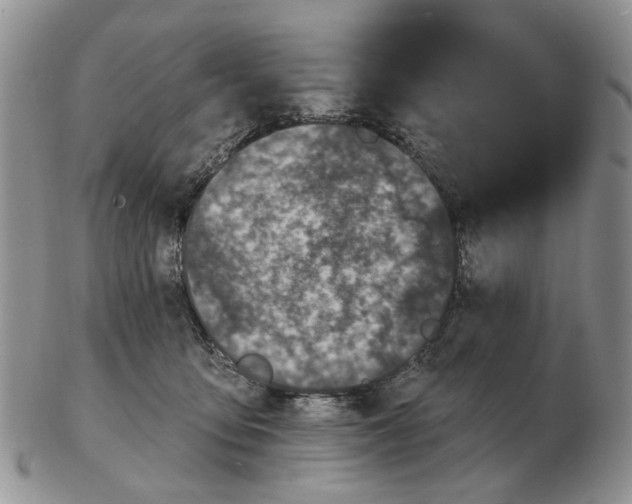 X0000102790419200809151129