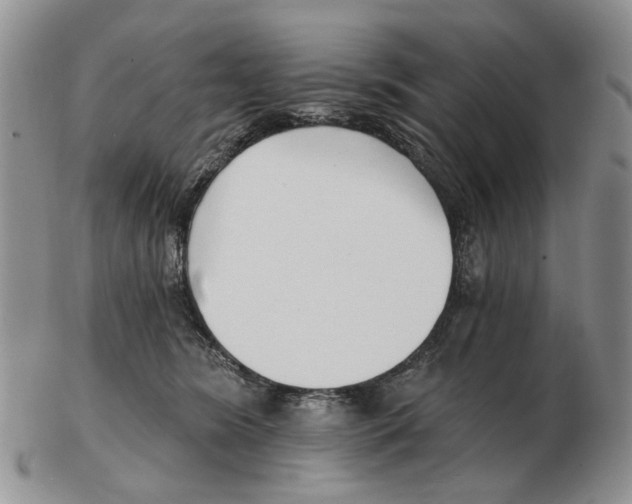 X0000102790420200809151129