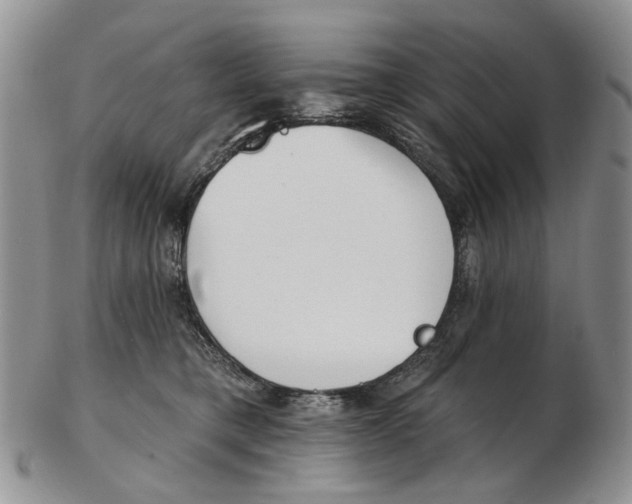 X0000102790421200809151129