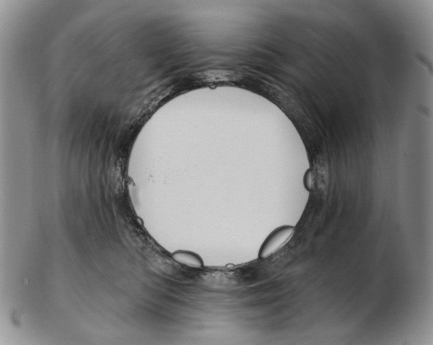 X0000102790422200809151129