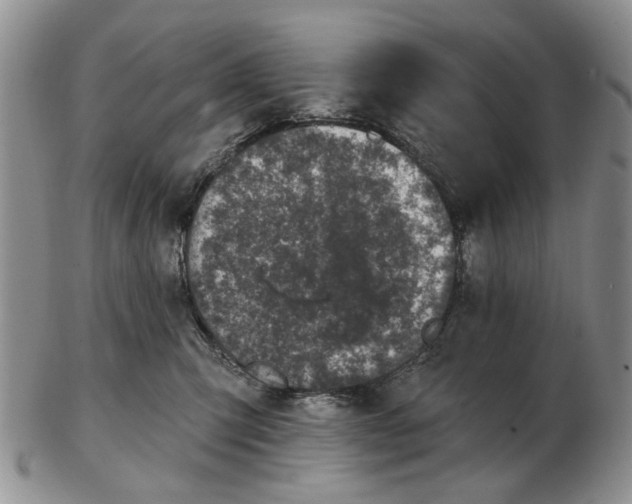 X0000102790423200809151129