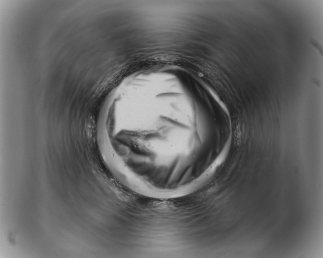 X0000102790424200809151129