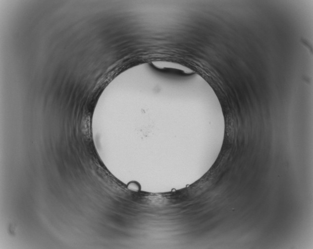 X0000102790425200809151129