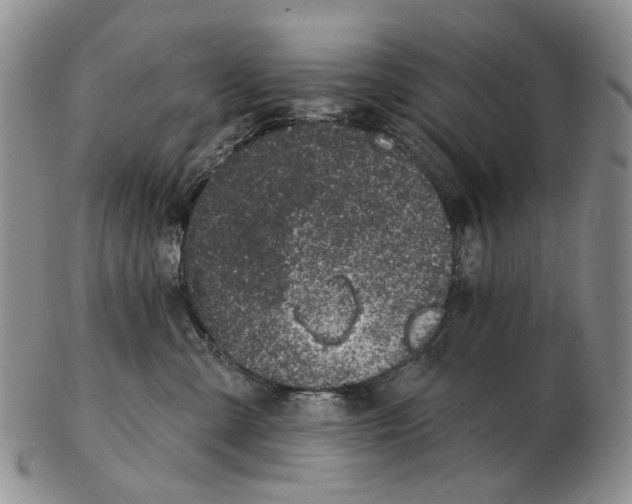 X0000102790427200809151129