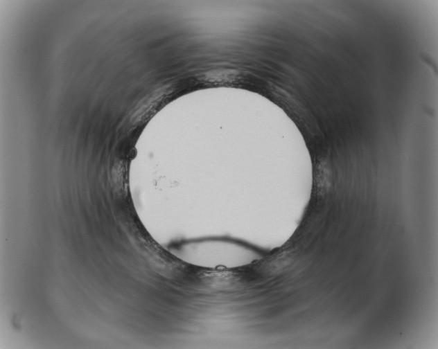 X0000102790428200809151129