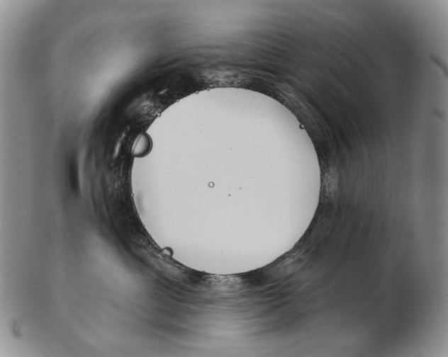 X0000102790429200809151129