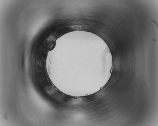 X0000102790430200809151129