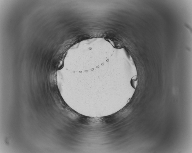 X0000102790432200809151129