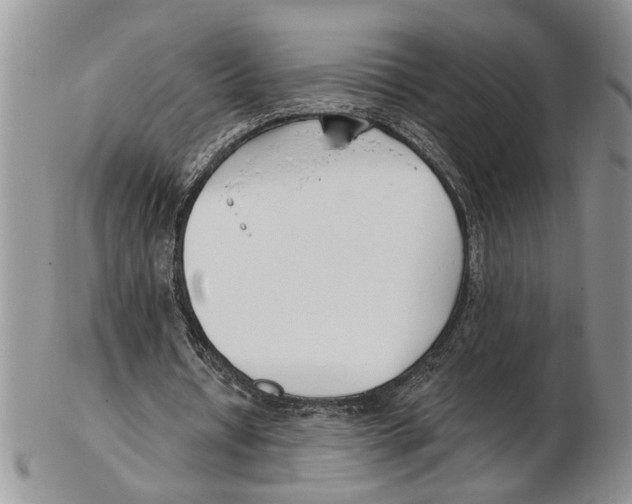 X0000102790434200809151128