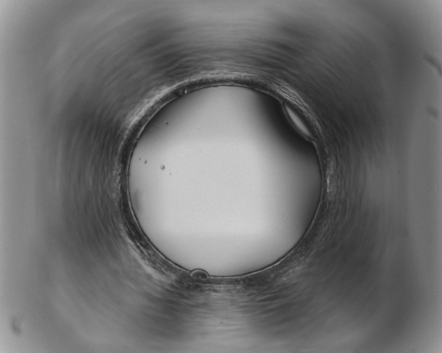 X0000102790436200809151128