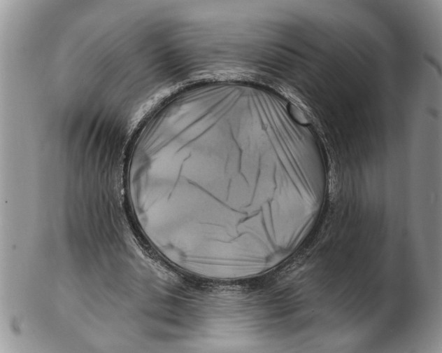 X0000102790438200809151128