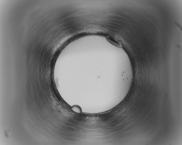 X0000102790440200809151128