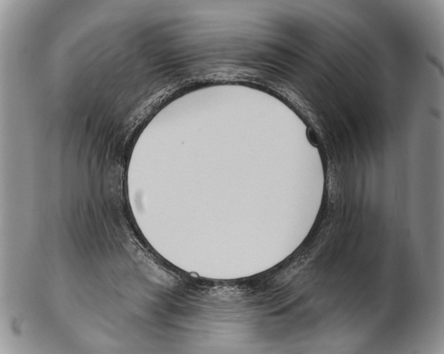 X0000102790445200809151128