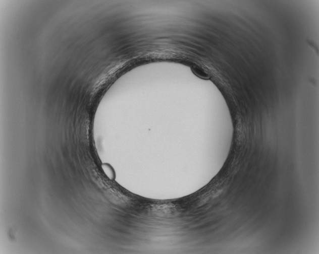 X0000102790446200809151128