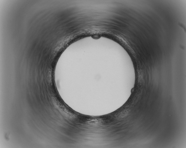 X0000102790447200809151128