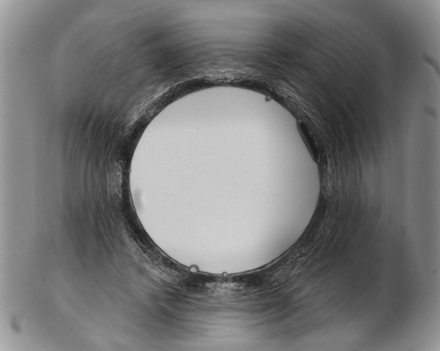 X0000102790448200809151128