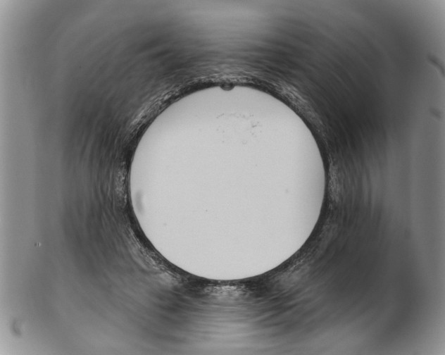 X0000102790449200809151128