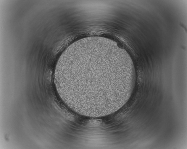 X0000102790451200809151128