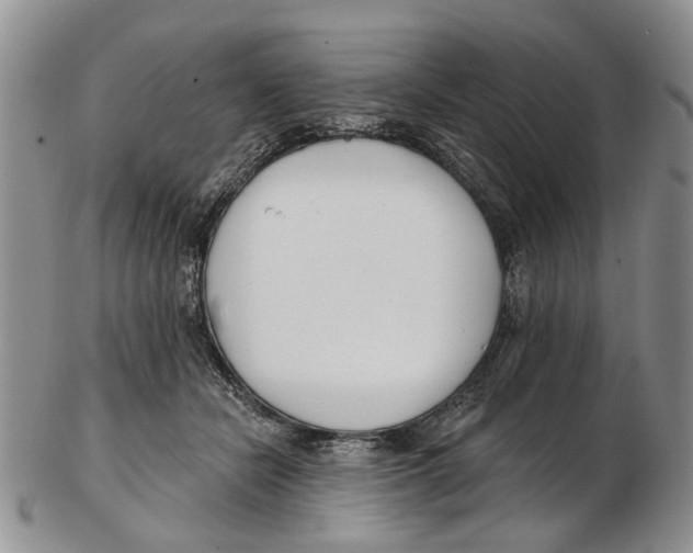 X0000102790462200809151129