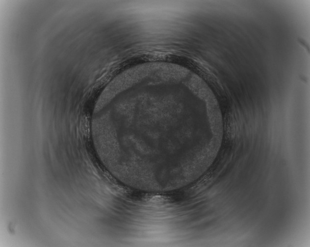 X0000102790467200809151129