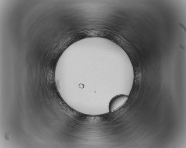 X0000102790469200809151129