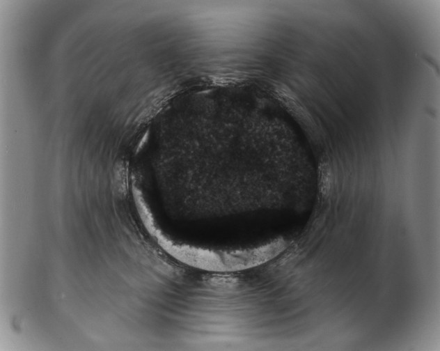 X0000102790471200809151129