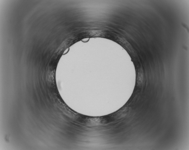 X0000102790473200809151129