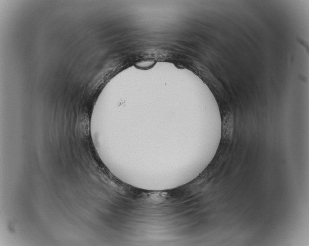 X0000102790474200809151129