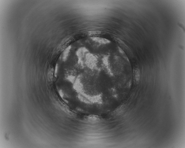 X0000102790475200809151129