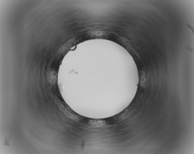 X0000102790476200809151129