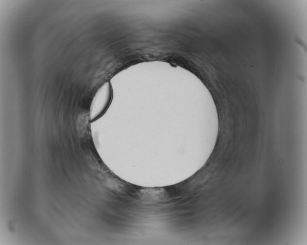 X0000102790480200809151129