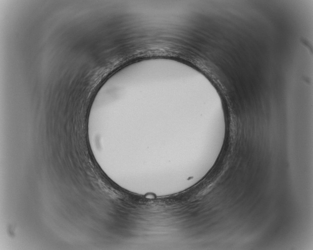 X0000102790481200809151128