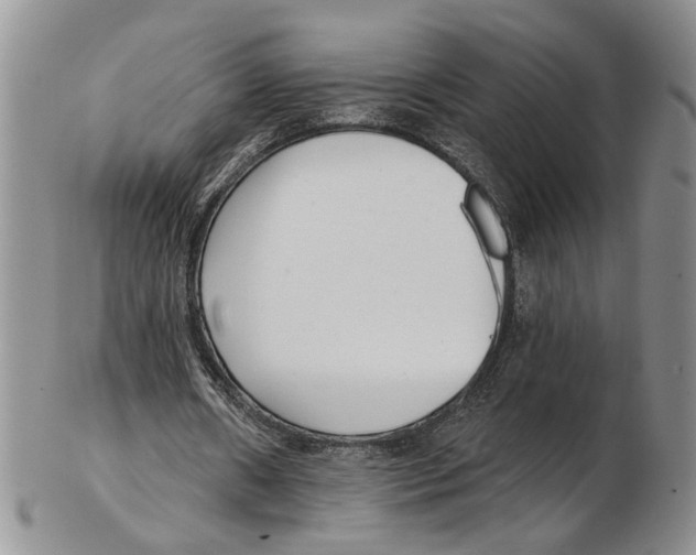 X0000102790482200809151128