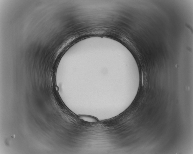 X0000102790483200809151128