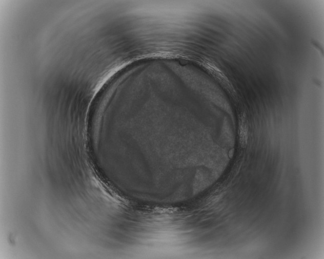 X0000102790484200809151128