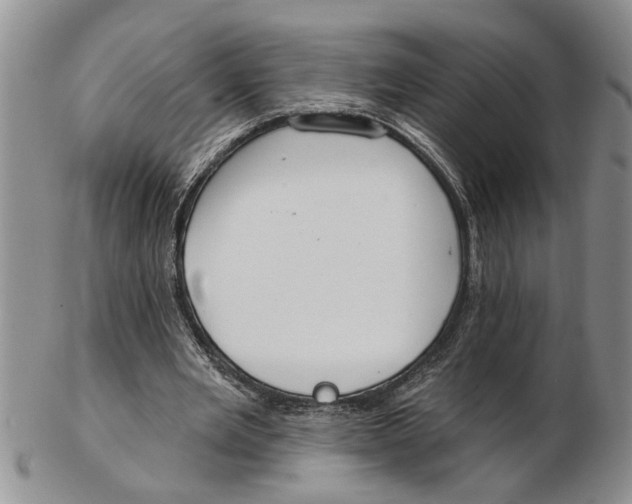 X0000102790485200809151128