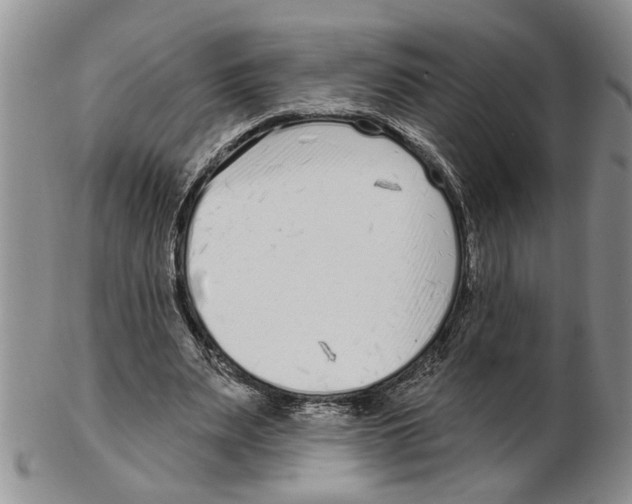 X0000102790487200809151128